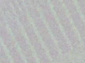 amberlatina69