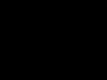 rjmerritt1013