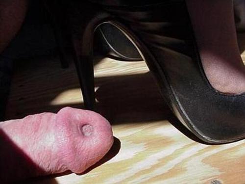 Cock and Ball Play — 21