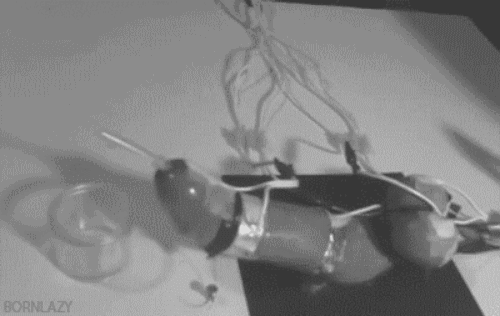 Torture — 8